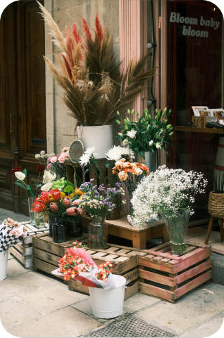 Sustainablity Eco-friendly cleaning products